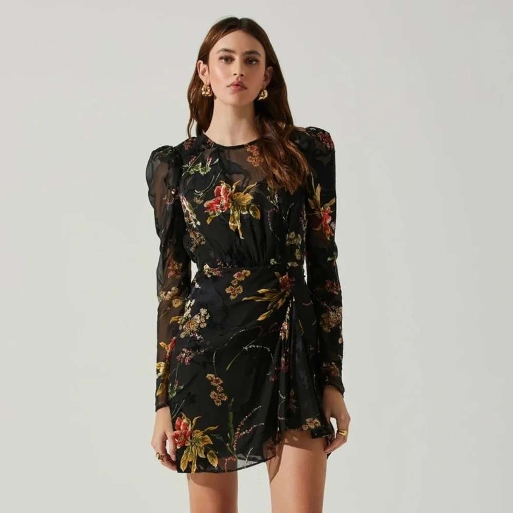 Astr The Label Sheer Velvet Burnout Mini Dress Sz XS Dark Floral Alt Cocktail